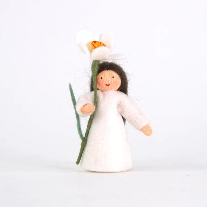 white daffodil flower fairy - light