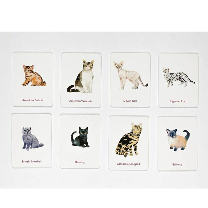 match cats & kittens memory game
