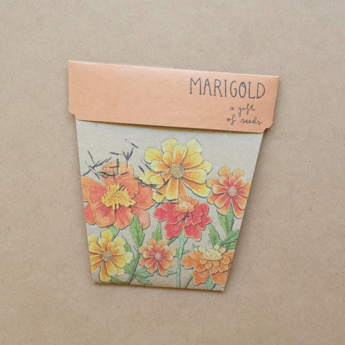 marigold gift of seeds