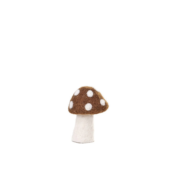 small dotty felt mushroom - mangrove