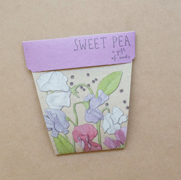 sweet pea gift of seeds